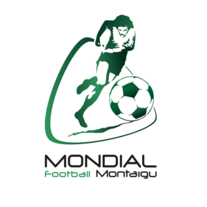 logo montaigu.png